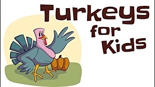 Turkeys for Kids [upl. by Jefferey]