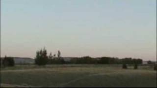 Ornithopter Flight Flapping and Gliding [upl. by Lewse]