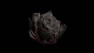 D4vd  Romantic Homicide 1 hour [upl. by Nayab323]