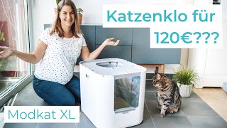 Modkat XL Katzenklo  Review und 3MonatsTest [upl. by Anawit]