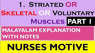 StriatedSkeletalvoluntarymuscletissuemalayalamNursesMotiveNotes labelleddiagram [upl. by Rosalie]