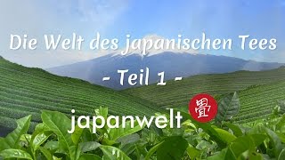 Doku Grüner Tee Anbau und Verarbeitung  Die Welt des japanischen Tees bei Japanwelt [upl. by Bernetta]