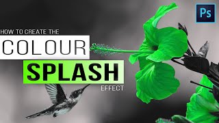 The Color Splash Effect  How To Make A Photo Black And White Except One Color BEST WAY [upl. by Disini]