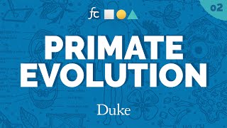 Primate Evolutions Tangled Tree  Fundamental Concepts with Jenny Tung [upl. by Baten]