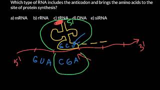 Codons and anticodons explained [upl. by Noelopan877]