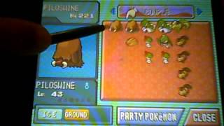 Pokemon Platinum Breeding [upl. by Alamaj926]