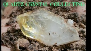 Quartz Crystal Digging Virginia 2015 [upl. by Essilem]