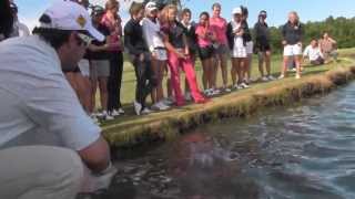 Shark feeding at Carbrook Golf Club  2012 Australian Girls Amateur [upl. by Ahsiatal]