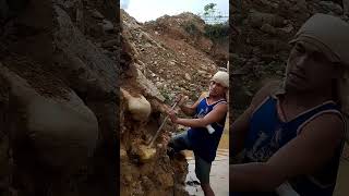 Gold miners gold prospecting gold Hunter gold Digger [upl. by Nawoj]