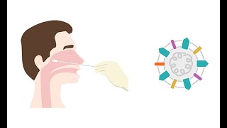 Describing antigen testing for COVID 19 [upl. by Secnirp]