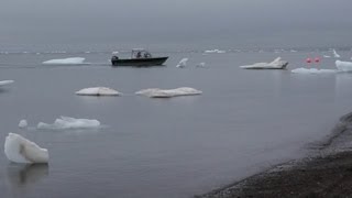 Challenges for sailors businesses when Arctic ice melts [upl. by Aerdnaed649]