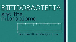 Bifidobacteria  Role in Gut Health  Weight Loss [upl. by Persas789]