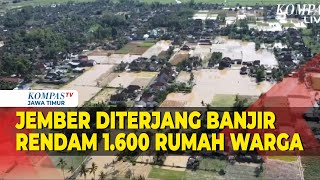 Banjir Terjang Wilayah Jember 1600 Rumah Warga Terendam [upl. by Nimzay]