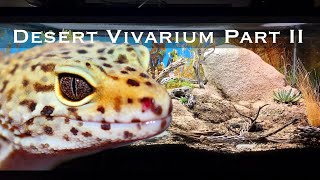 Bioactive and Enriched Desert Vivarium Part II Leopard Gecko Setup [upl. by Annitsirhc441]