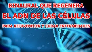 BINAURAL QUE REGENERA EL ADN DE LAS CELULAS PARA REJUVENECER Y CURAR ENFERMEDADES [upl. by Puttergill]