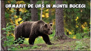 Față în față cu un URS [upl. by Nrublim833]