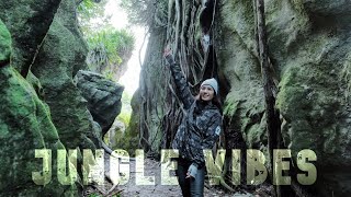 Te Waikoropupu Springs amp The Grove  Takaka  South Island New Zealand Road Trip Vlog 34 [upl. by Grekin989]