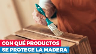 ¿Con qué productos se puede proteger la madera [upl. by Giuditta]