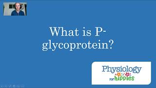 What is Pglycoprotein [upl. by Yuma]