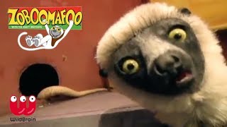 Zoboomafoo  Lemur meets slithering snakes  Episode Animals for Kids [upl. by Llerrehs]