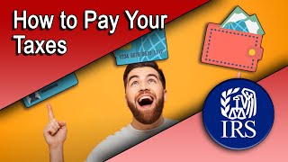 How to Pay Your Taxes [upl. by Golter]