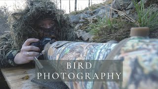 How to photograph the dipper  Bird Photography with camouflage [upl. by Euqnomod356]