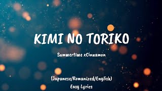 Summertime x Kimi No Toriko RomanizedJapaneseEnglish Easy Lyrics [upl. by Ecarg]