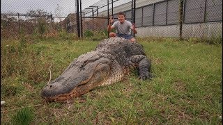 This REPTILE FARM was UNREAL CRAZY [upl. by Ellene]