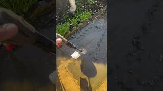 Drivewaypatio power wash powerwashing jetwash chemical uk work saturday landscaping [upl. by Eedna802]