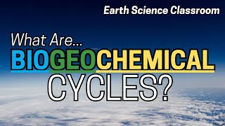 What Are The Different Types Of Biogeochemical Cycles [upl. by Schriever207]