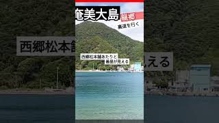 奄美大島 裏道を行く日常🤗穏やか〜 [upl. by Nesto]