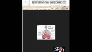 Shockwave Therapy for ED [upl. by Ahsinnod]