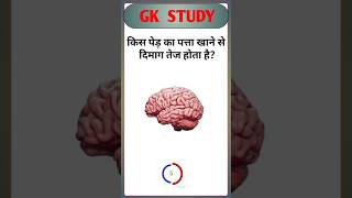 TOP 20 GK questions 💯🔥🥰 GK Question and answer gk upsc ssc staticgk gkfacts gkquestion ssccgl [upl. by Shandra]