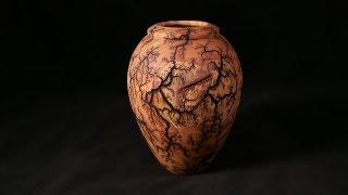 Lichtenberg Fractal Burned Vessel [upl. by Ashbey]