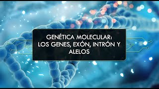 Genética Molecular Genes Exones Intrones Alelos y Herencia [upl. by Tlevesor607]