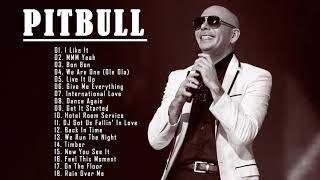 Las Canciones Más Famosas De Pitbull  Top 20 Grandes Exitos De Pitbull [upl. by Zachery]