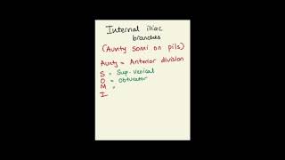 Internal iliac artery branches under 60 seconds medicine neetpg anatomy [upl. by Annatnom]