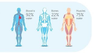 Introduction to Cell Physiology  Body Fluid Compartments  Dr BYSON EM [upl. by Assiral478]