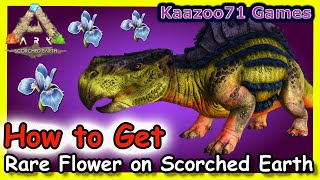 How to Get Rare Flower in Scorched Earth Ark 💥 [upl. by Ecyarg559]