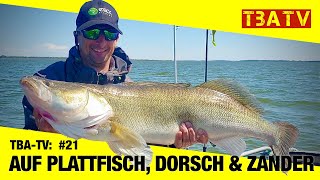 TBA TV Team BoddenAngeln 21 Alles geht Plattfisch Dorsch Hecht amp Zander [upl. by Asina]