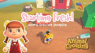 Starting Fresh Daily Life on My Cozy New Island 🏝️  Animal Crossing Longplay No Commentary [upl. by Philbert]