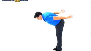 Ankle and Hip Balance Strategies [upl. by Anastassia]