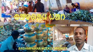 Badampahar weekly market [upl. by Htebyram755]