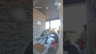 Neighbor seen on doorbell camera saving child from choking [upl. by Sukhum]