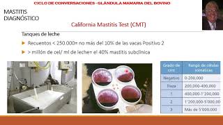 Mastitis Bovina California Mastitis Test [upl. by Atlante]