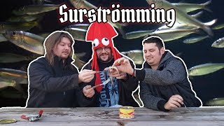 Americans Try Surstromming  Stinky Fish Challenge [upl. by Abihsat]