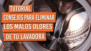 5 consejos para eliminar el mal olor de la lavadora [upl. by Englebert172]