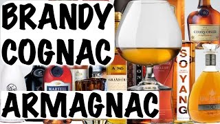 Cognac Brandy and Armagnac  Alcohol 101 [upl. by Nivrem955]