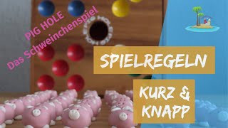 Pig Hole 🐷  das Schweinchenspiel Anleitung [upl. by Sedinoel]