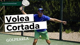 VOLEA DE PÁDEL CORTADA DERECHA  ‼️‼️5 CONSEJOS para MEJORAR tu pádel‼️‼️ [upl. by Yeruoc170]